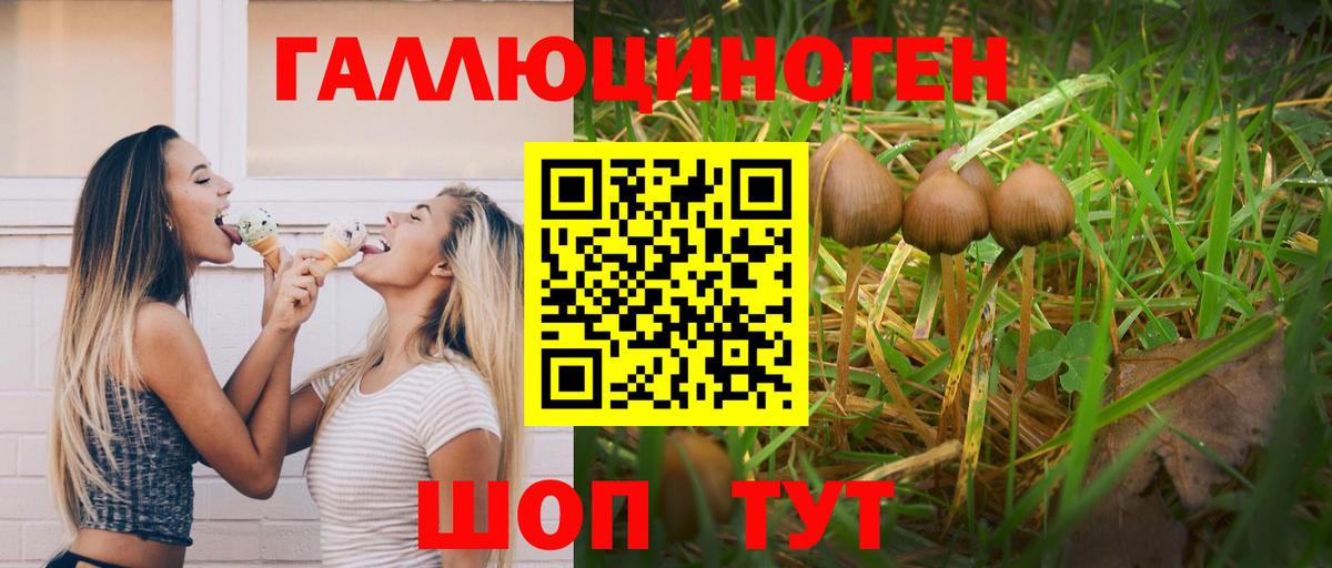 Псилоцибиновые грибы Cubensis  Вход с VPN  Ахтубинск 