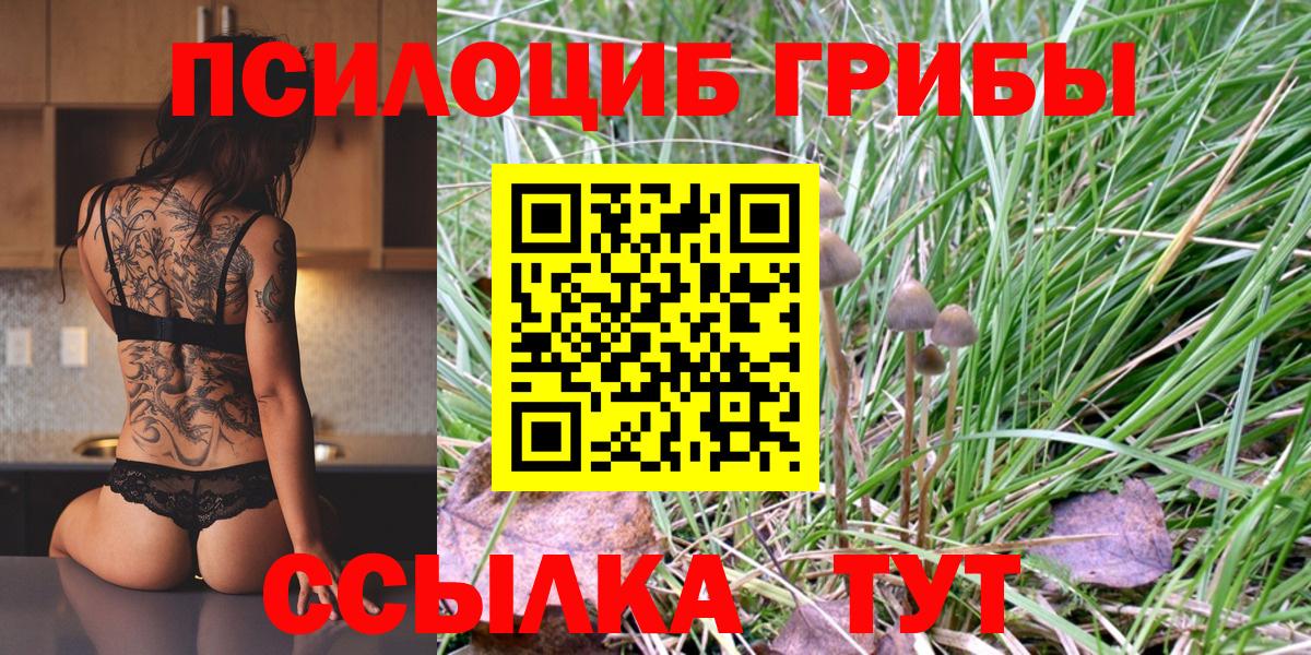 Псилоцибиновые грибы Magic Shrooms Ахтубинск